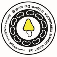 cashew corporation